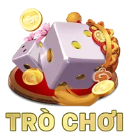 Chương trình VIP và ưu đãi độc quyền